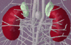 rocom_v6002003.gif